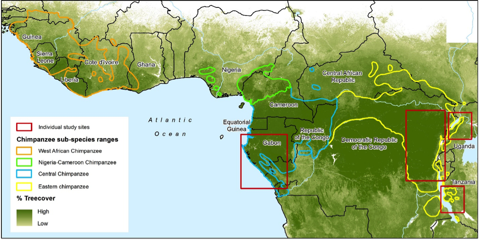 Monitoring and forecasting chimpanzee habitat health in Africa to