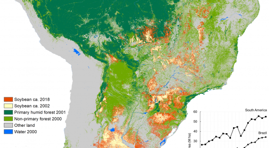 soybean expansion