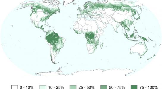 Más de 126 mil hectáreas de bosque en el Valle de Intag fueron monitoreadas  con la plataforma Global Forest Watch​ – Aves y Conservación