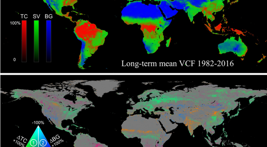 Long term Global Land Change